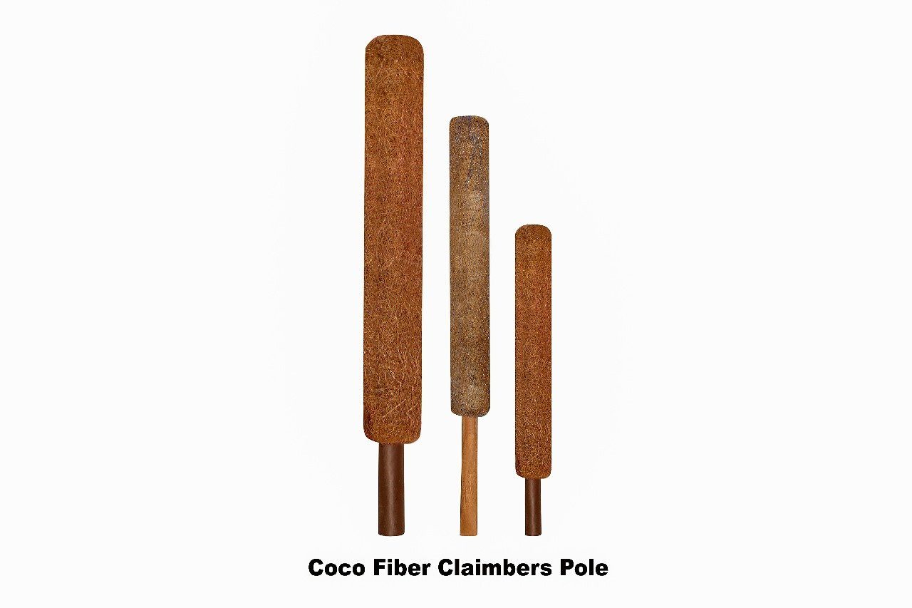Coir Fiber Climbers Pole (Pack of 2)