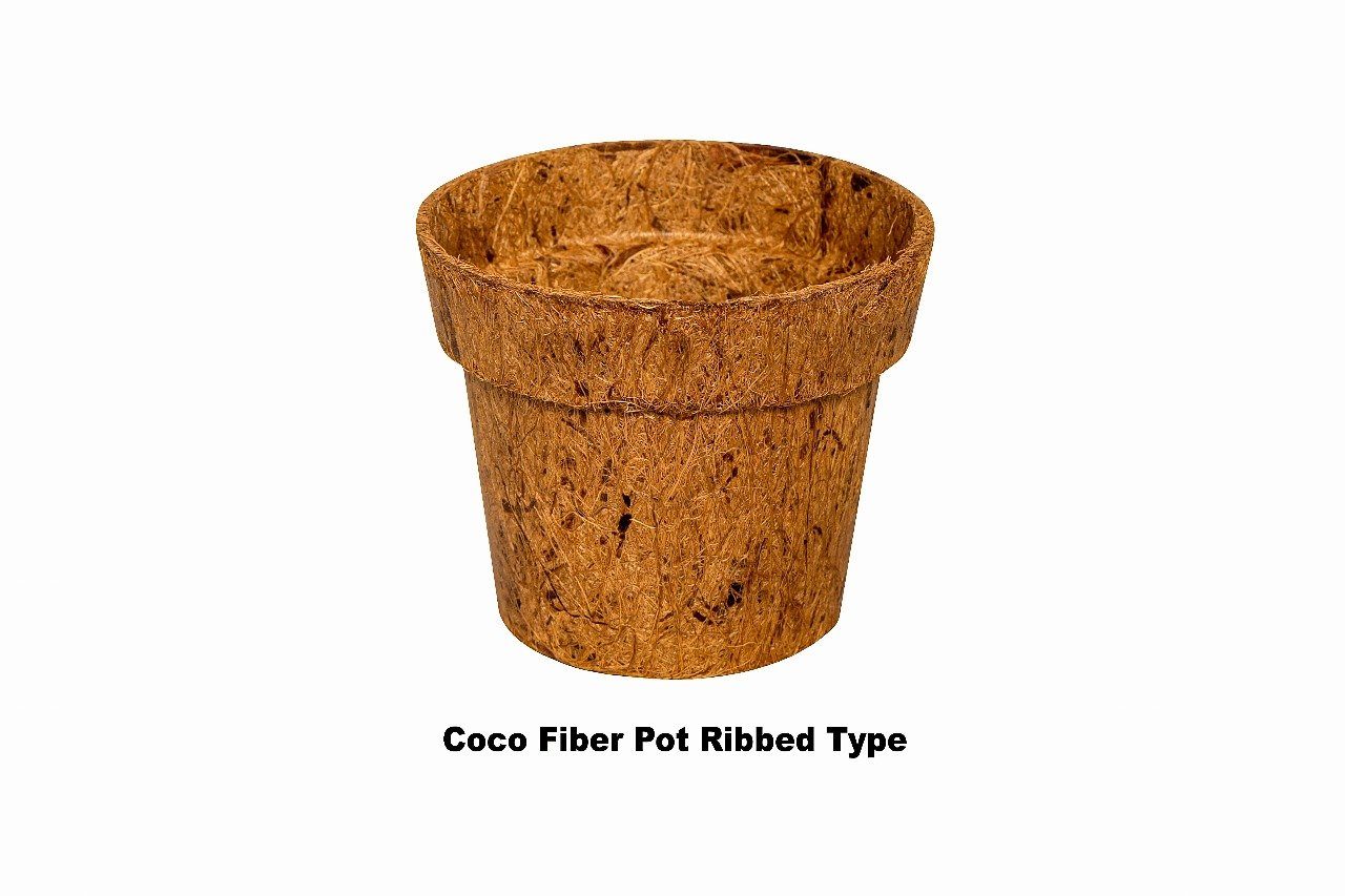 Coir Fiber Pot Rib Round (Pack of 6)