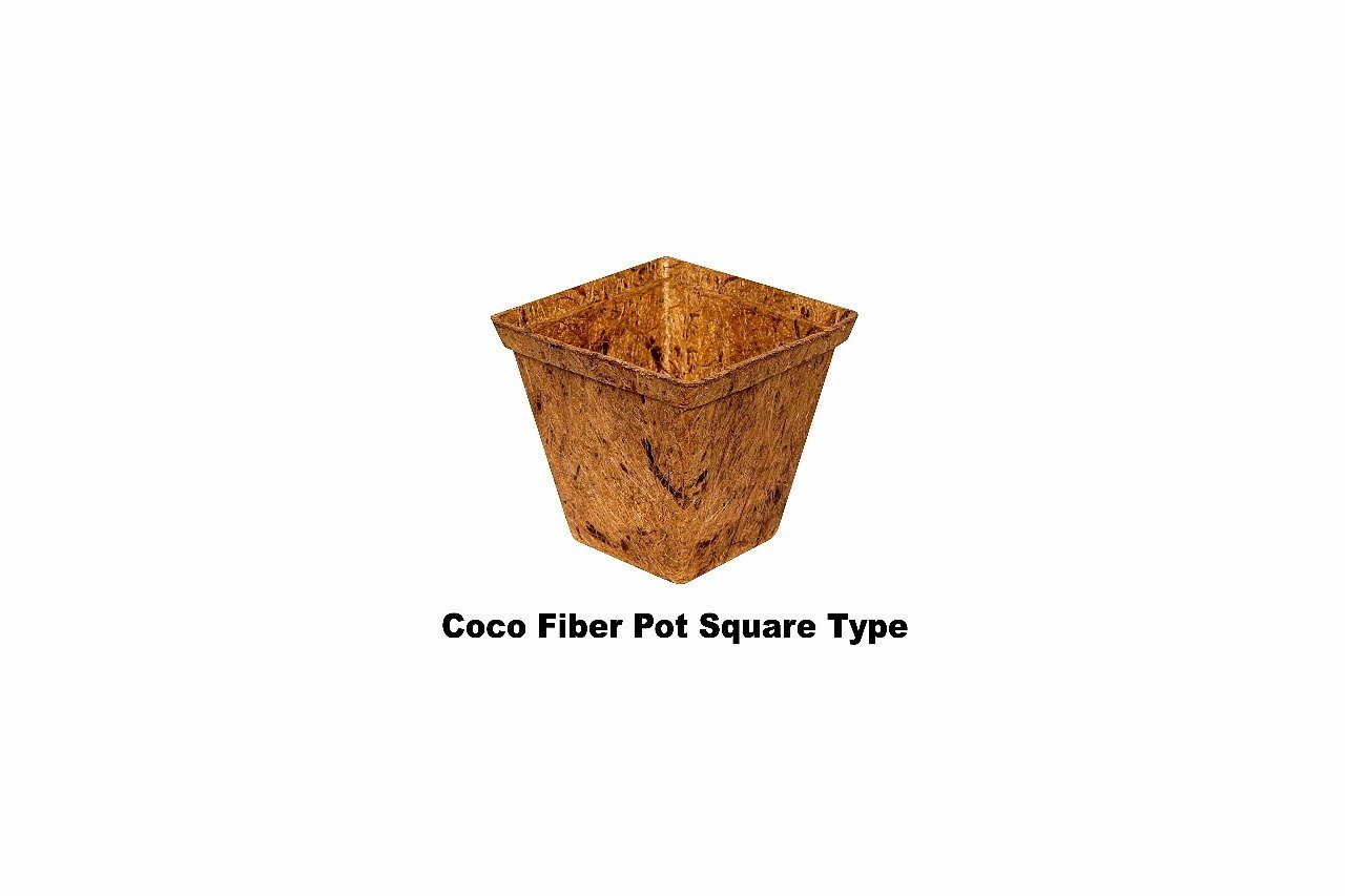 Coir Fiber Pot Rib Square  (Pack of 6)